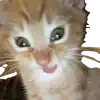 😁