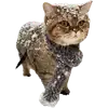 Эмодзи Котики