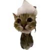 Эмодзи Котики