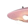 🛸