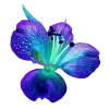 ♾