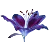 ♾
