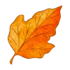 Эмодзи Autumn