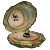 🪞