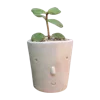 ?