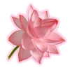 Эмодзи Pink random