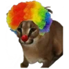 🤡