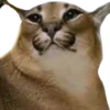 😠