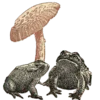 ?