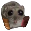 ?