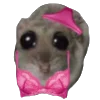 ?‍♀