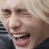 Эмодзи Stray Kids
