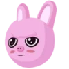 🐷