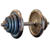 🏋️‍♂️
