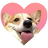💖