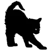 🐈