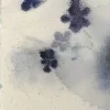 🤩