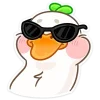 😎
