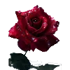 Эмодзи Roses