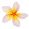 Эмодзи summer aesthetica