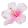 Эмодзи summer aesthetica