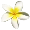 Эмодзи summer aesthetica