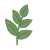 🍃