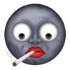 🌚