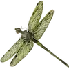 Эмодзи green witch