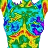 Эмодзи thermal