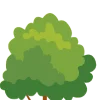 🌳