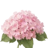Эмодзи Цветущий шрифт