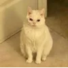 😒