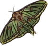 Эмодзи fairy