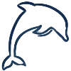 🐬