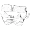 Эмодзи white trash