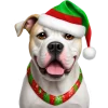 Эмодзи winter xmas ios