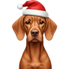 Эмодзи winter xmas ios