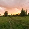 🌇