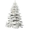 🌲
