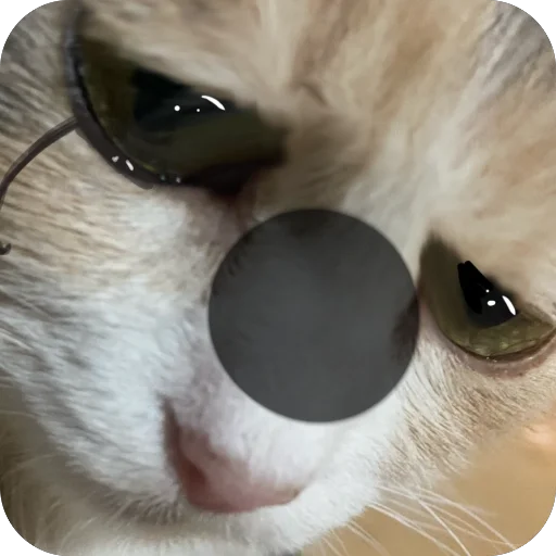 Эмодзи Cats memes