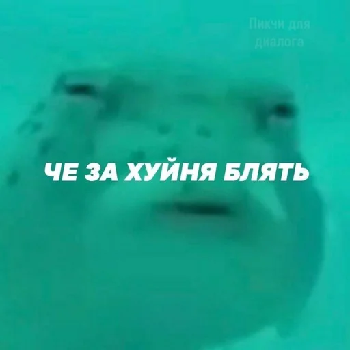 Эмодзи АХТУНГ!!