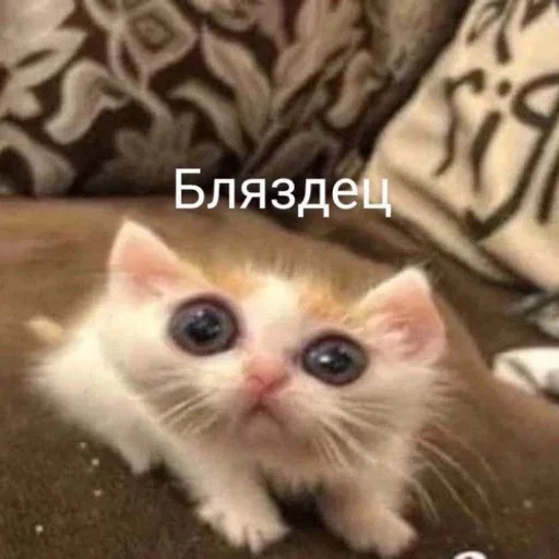 Эмодзи АХТУНГ!!