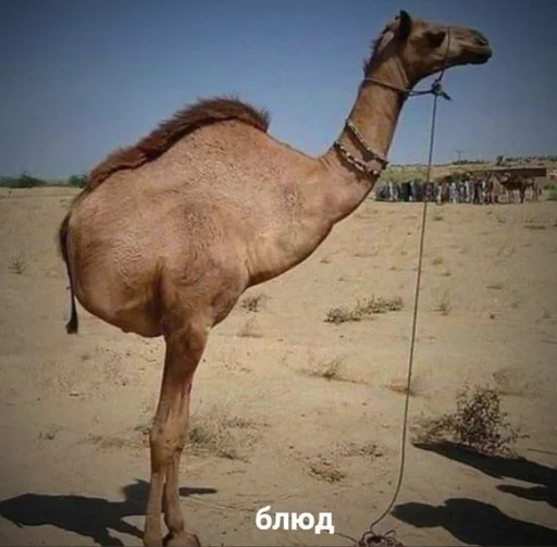 Эмодзи АХТУНГ!!