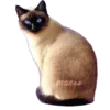 Эмодзи ANIMALS EMOJI