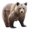 Эмодзи ANIMALS EMOJI