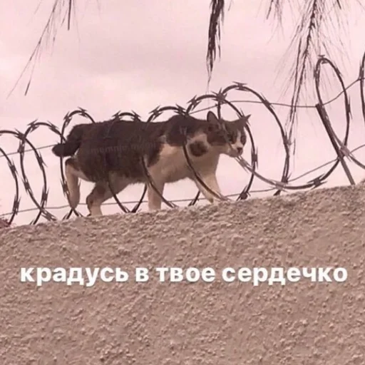 🥰