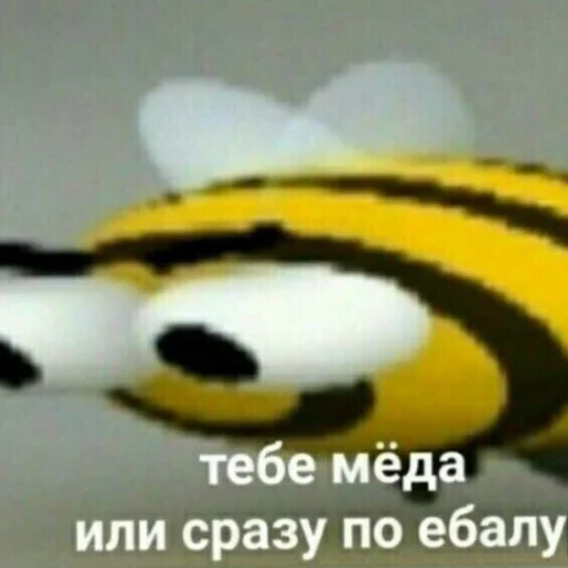 Эмодзи кыш от моих стикеров