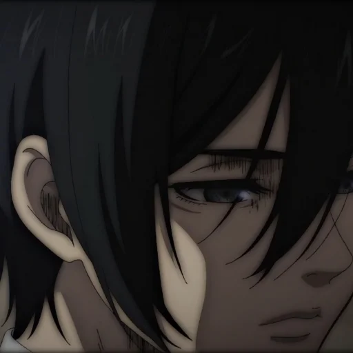 Эмодзи Ackerman Mikasa