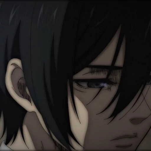 Эмодзи Ackerman Mikasa